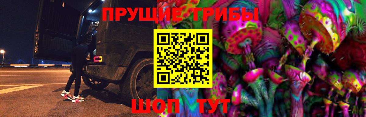 где найти наркотики  Псилоцибиновые грибы мицелий  Вход с VPN  Зеленодольск 